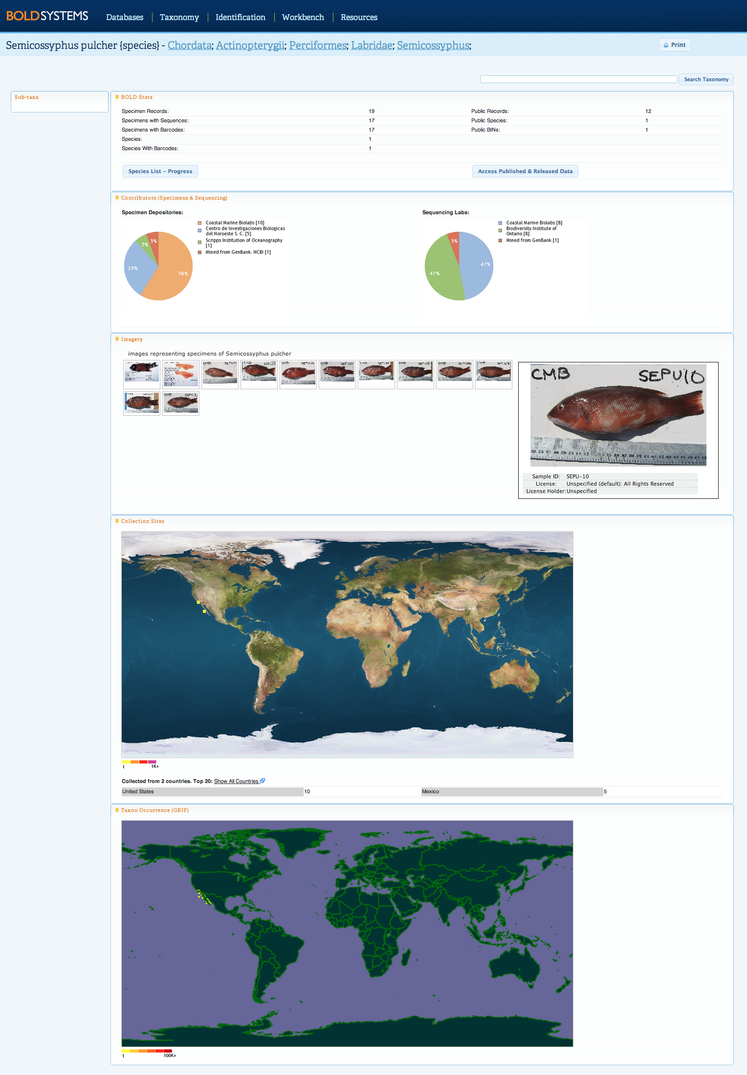 taxonomypage