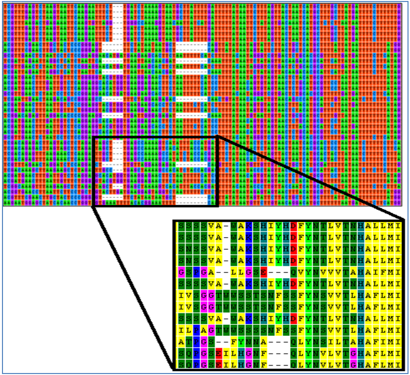 Indels