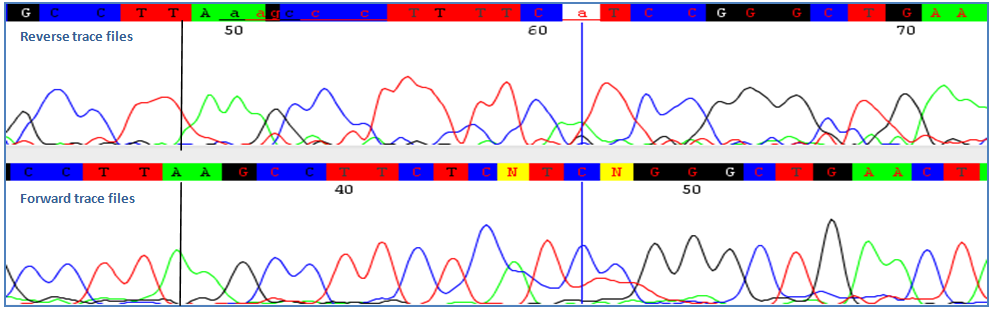 Misaligned forward and reverse traces