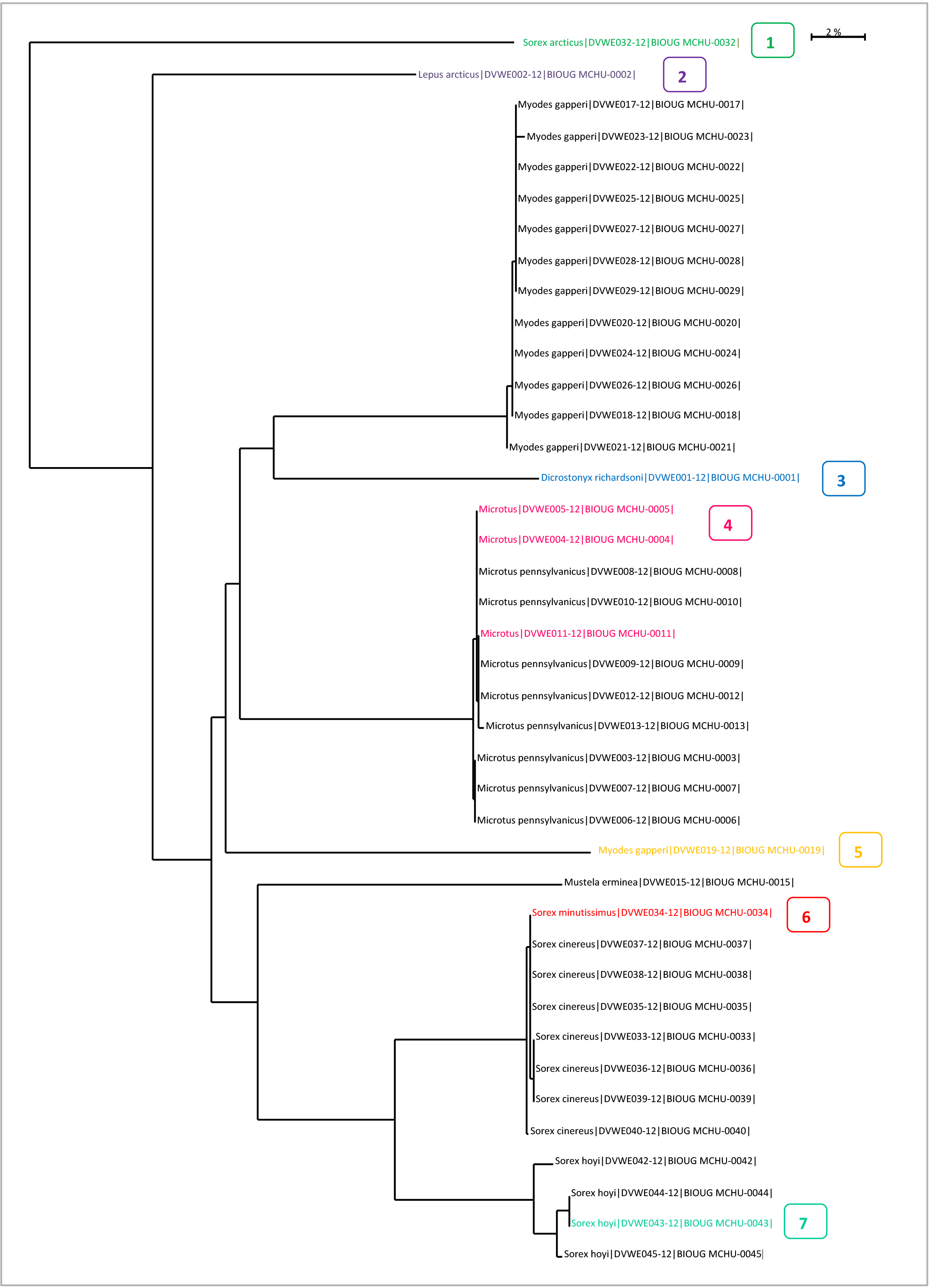 Taxon ID Tree