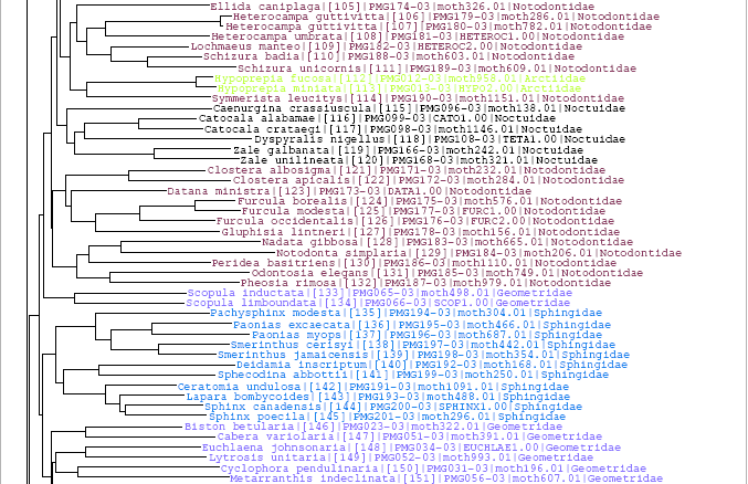 Taxon ID Tree